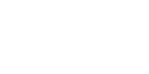 Newport City Council